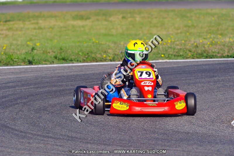 DSC_ (931).jpg